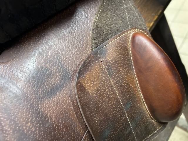 Selles Michel Robert CSP Prestige Italia - 16 - 2021