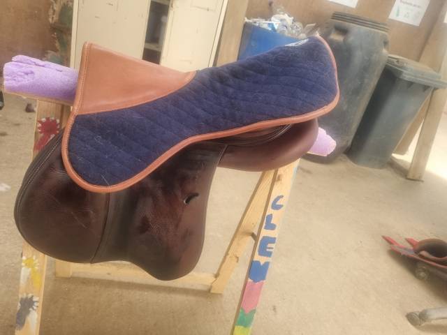 Selle antares connexion