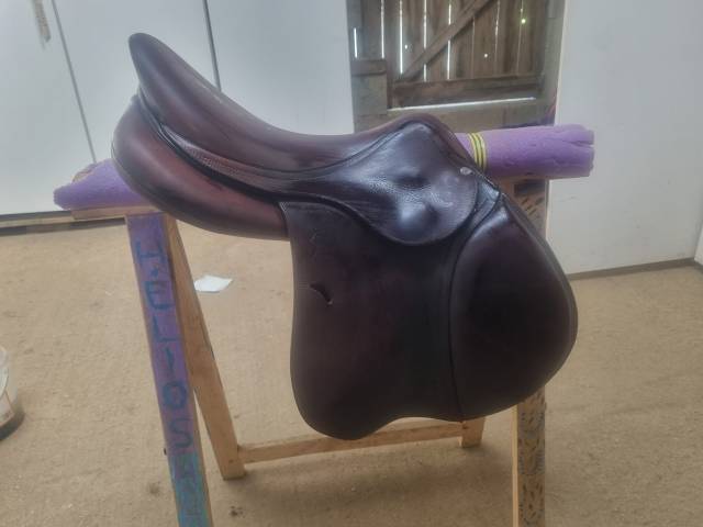 Selle antares connexion