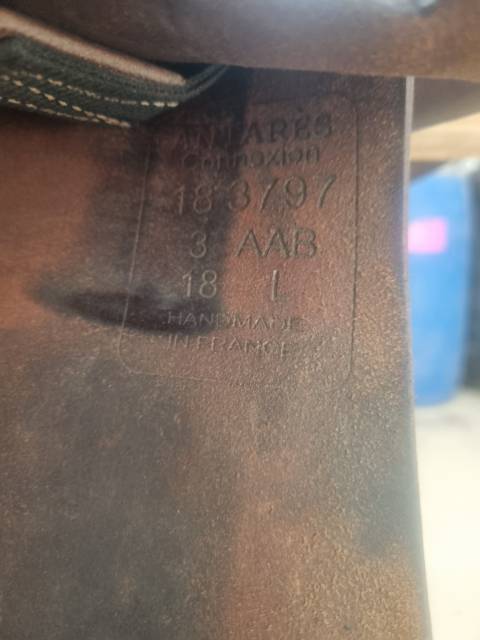 Selle antares connexion