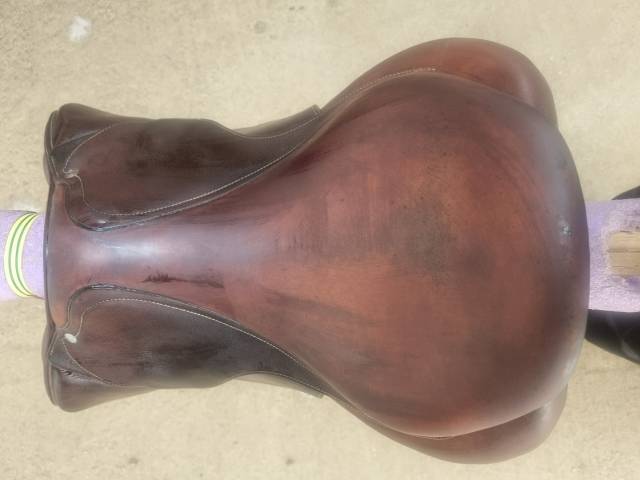 Selle antares connexion