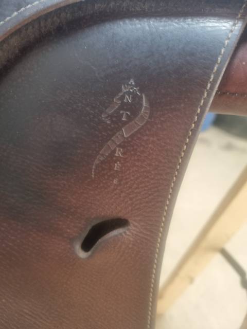 Selle antares connexion