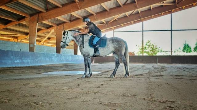 Enseignement et saddle fitting dans le 64
