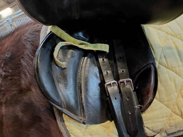 Selle Stubben Scandica