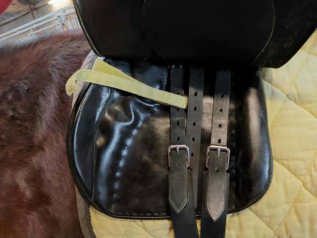 Selle Stubben Scandica