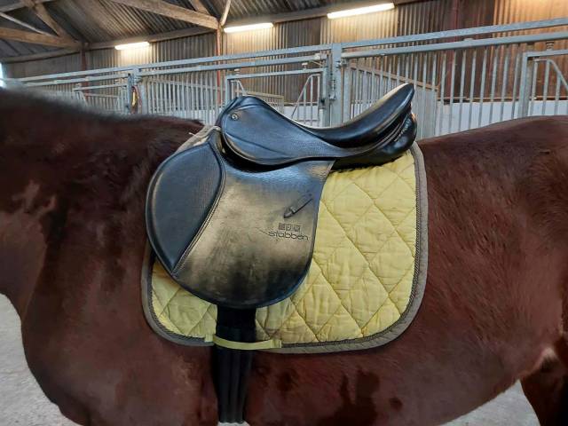 Selle Stubben Scandica