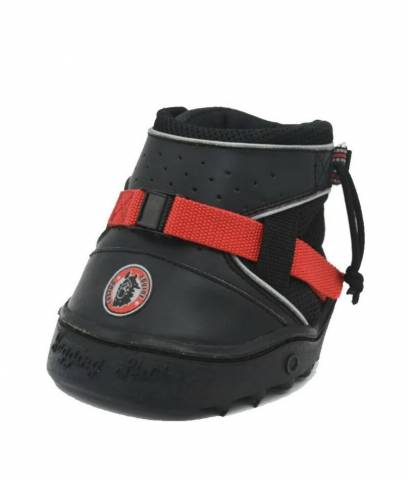 Hipposandales equi-fusion