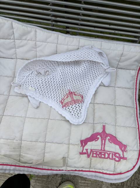 Ensemble Veredus rose