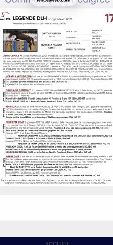 Superbe jument de concours 
