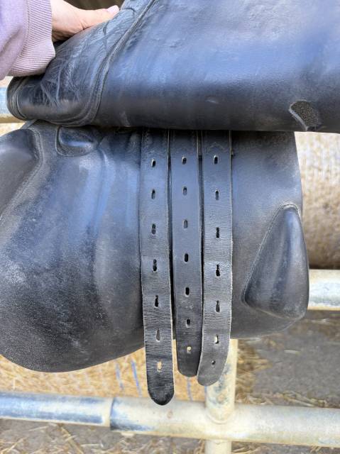 Selle mixte 17.5 Privil&egrave;ge Equitation