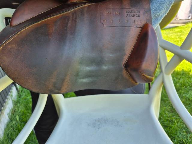 selle antares 