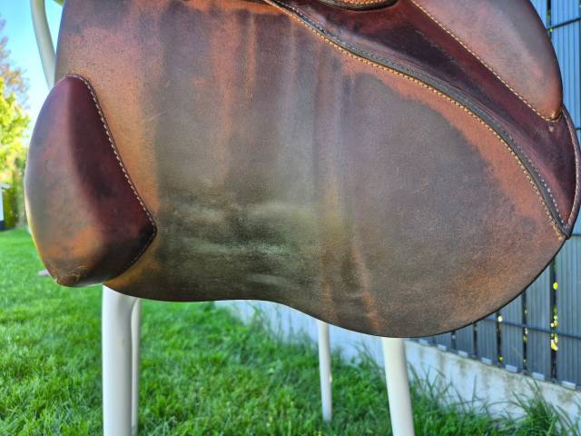 selle antares 