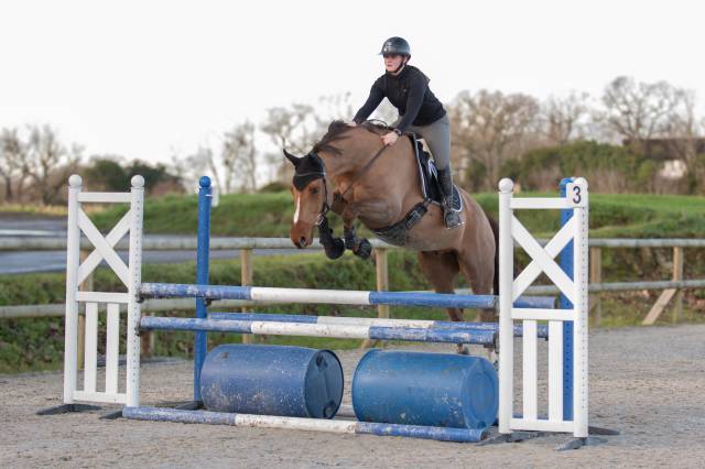 Cheval de sport cce cso dressage 6 ans