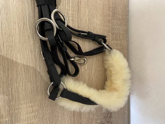 Collier de chasse