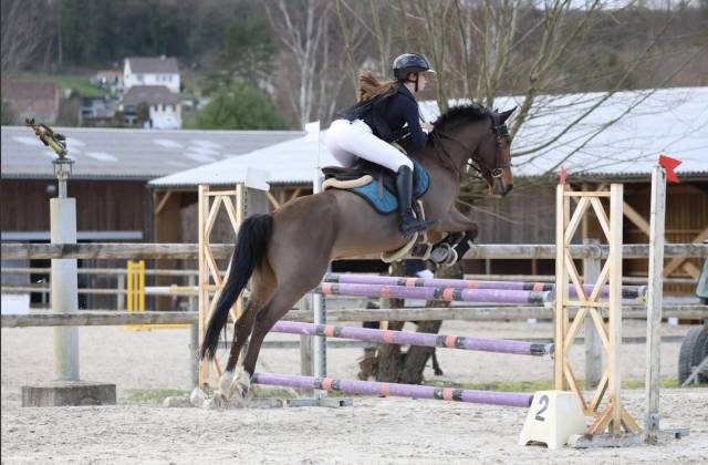 Poney d à vendre 