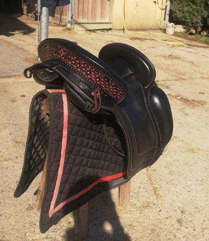 Selle venus ludomar 