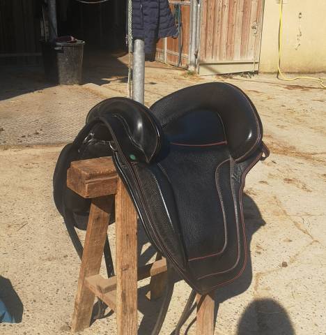 Selle venus Ludomar 