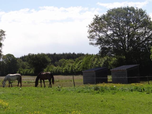 Abris chevaux d&eacute;pla&ccedil;able - mobile