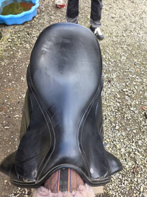 Selle dressage antares