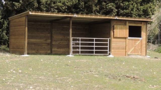 Pension cheval / poney ☺️