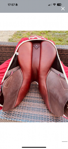 Selle CWD 18"