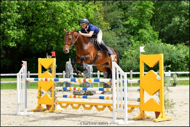 Jument sf de 7 ans - cso 130 et +