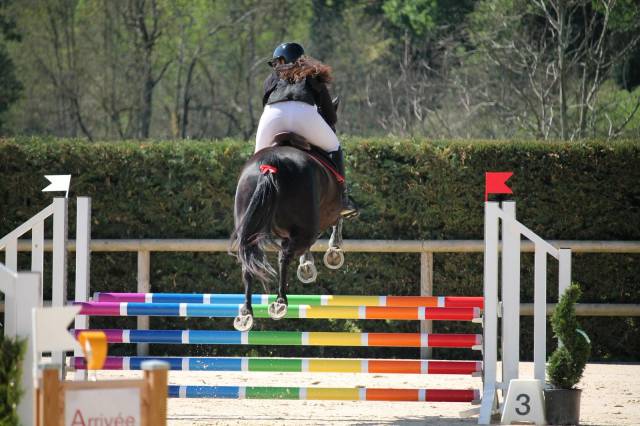 Jument sf ideale amateur