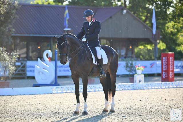 Hongre - oldenbourg - 13 ans - dressage - france