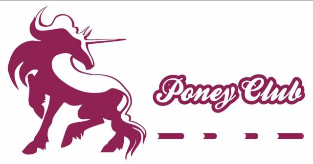 Moniteur(trice) d’équitation poney-club