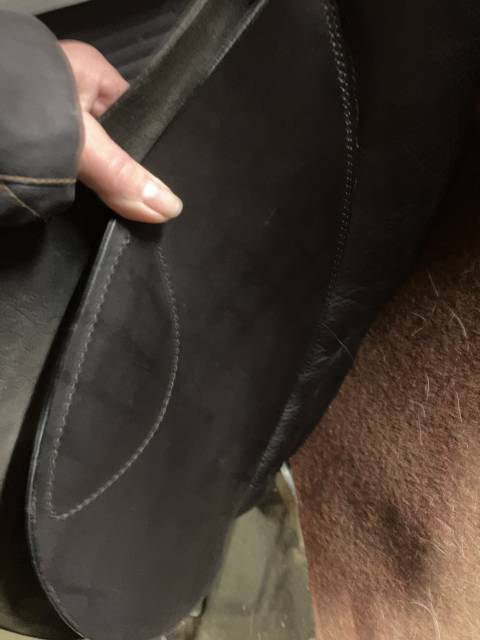 Selle stubben 