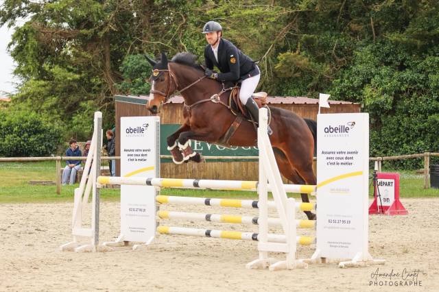 Jument cso 13ans 1m67