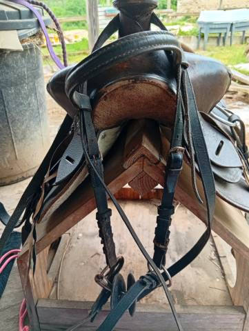 Selle western 