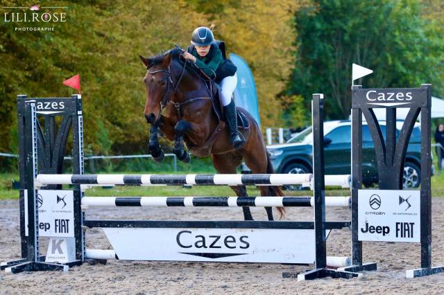 Poney de sport  8 ans connemara part bred 
