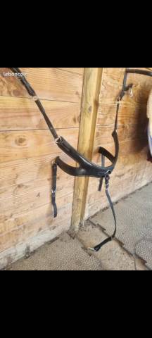 Collier de chasse 