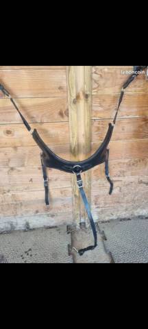 Collier de chasse 
