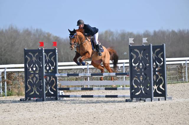Hongre de 11 ans pour du loisir/cso