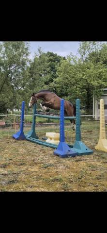 Ponette pfs 3 ans