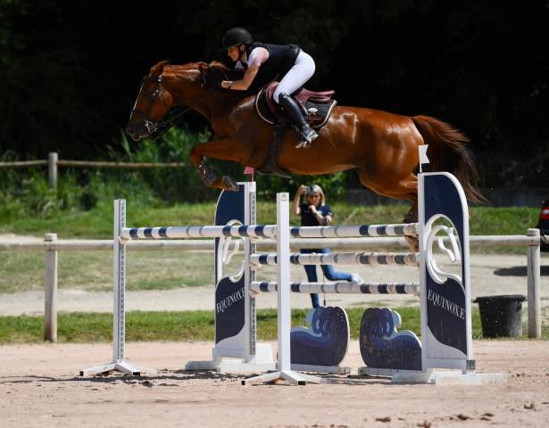 à vendre jument de sport 