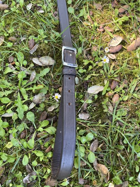 Collier de chasse avec martingales 