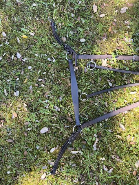 Collier de chasse avec martingales 