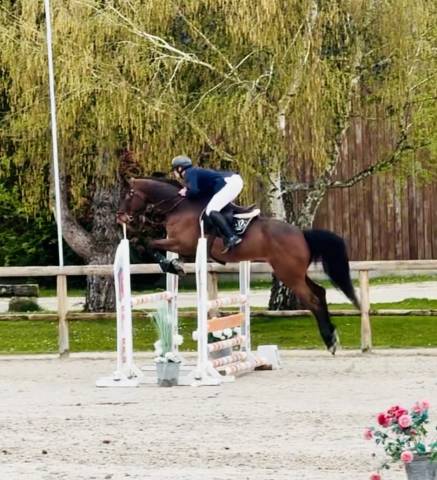 Looping du feugre 
