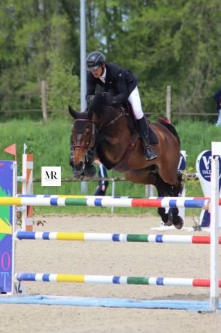 Cheval 8 ans 