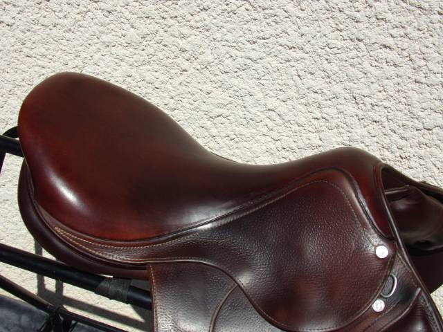 Selle Antares obstacle contact 18'