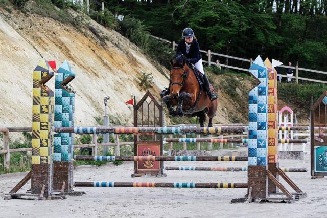 Jument de cso 