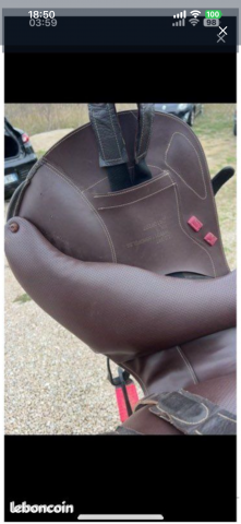 Selle ikonic 