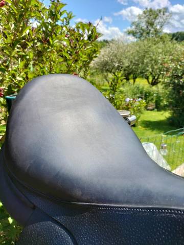 Selle Forestier Prem's noire 17'