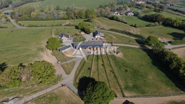 Haras d'élevage