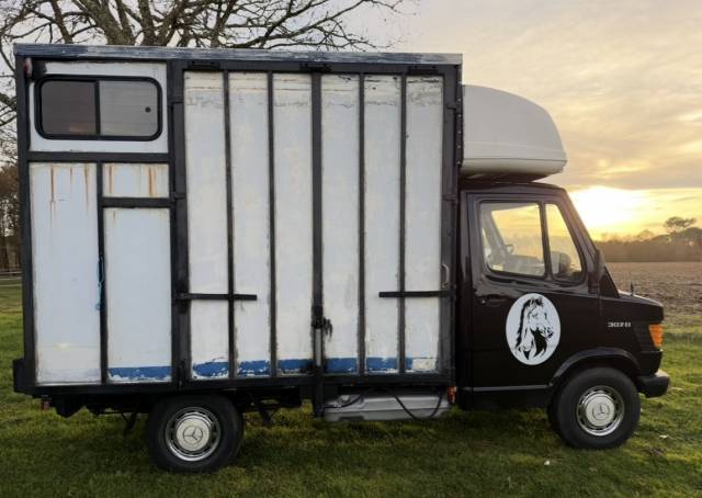 Camion vl chevaux 