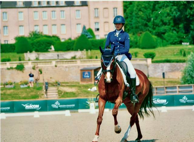 Jument - hanovrienne - 11 ans - dressage - france 