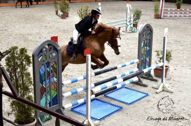 Ponette d